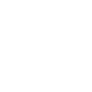 Horse Rituals Gold Coast